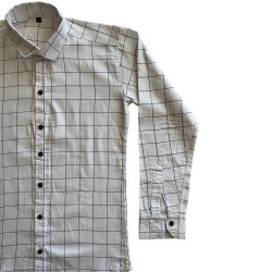 Regular Fit Checks / Lines Formal Shirt For Men, Summer Fits